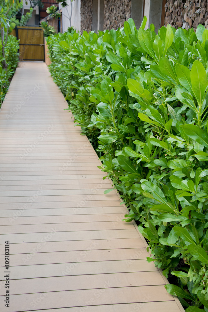 wooden walkway and plant background wooden walkway and plant background
