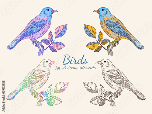 Vintage birds Collection