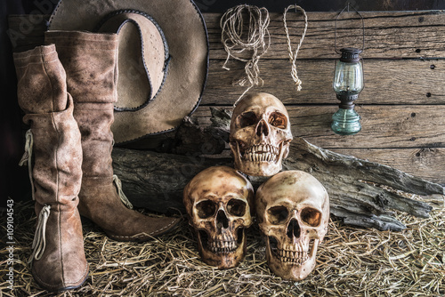 still life with three skull in barn background