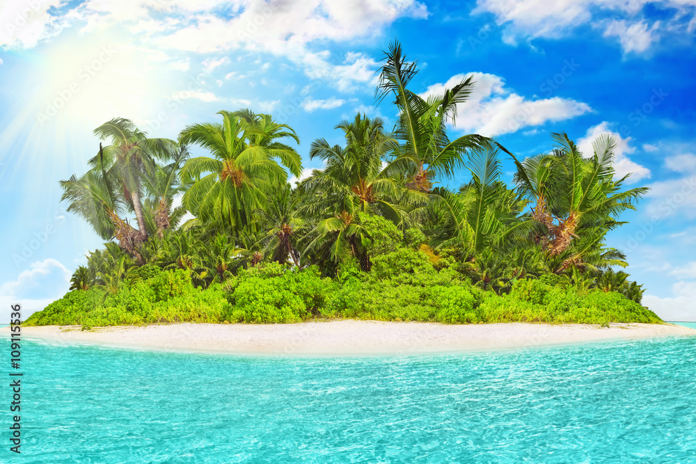 Obraz premium Whole tropical island within atoll in tropical Ocean on a summer