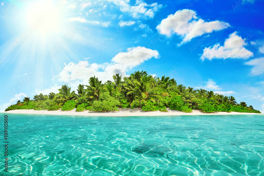 Whole tropical island within atoll in tropical Ocean on a summer Whole tropical island within atoll in tropical Ocean on a summer