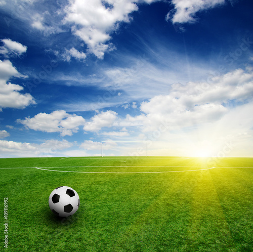 soccer ball on the grass © Alekss