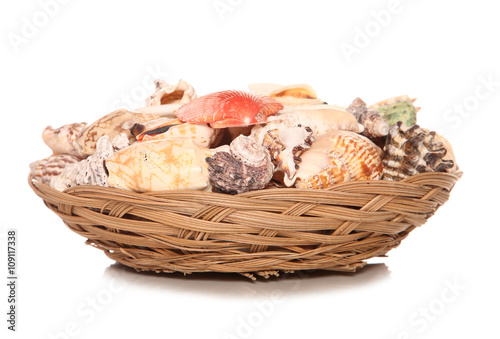 bowl of seashells house decoration