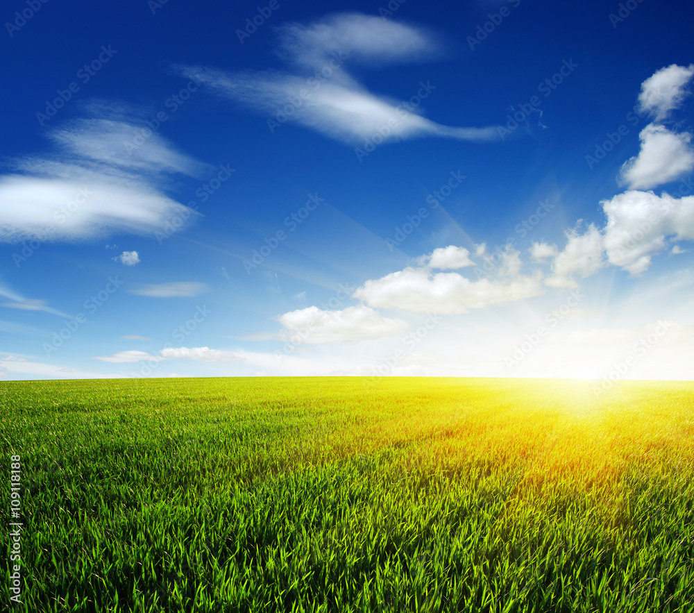 field and sun field and sun