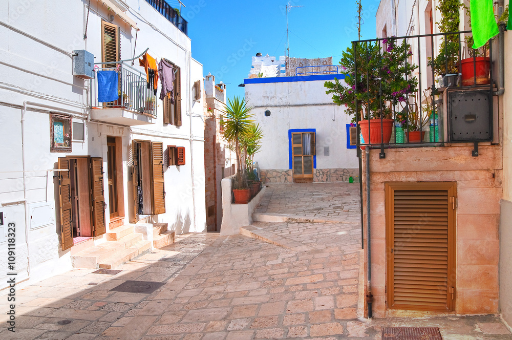 Obraz premium Alleyway. Polignano a mare. Puglia, Italy. 
