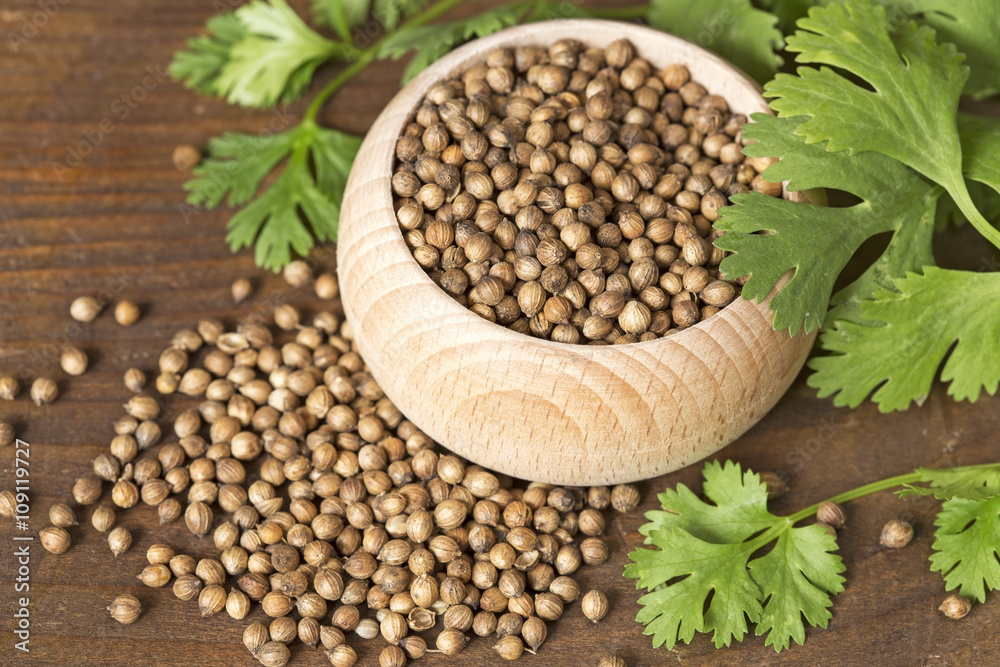 Coriander seeds and leaves Coriander seeds and leaves