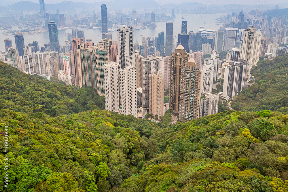 Hong Kong, View of the City and the Bay from Victoria Peak
