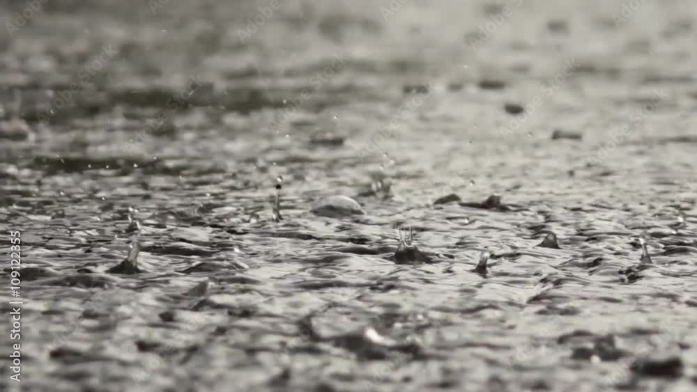 dense rain pours pavement dense rain pours pavement
