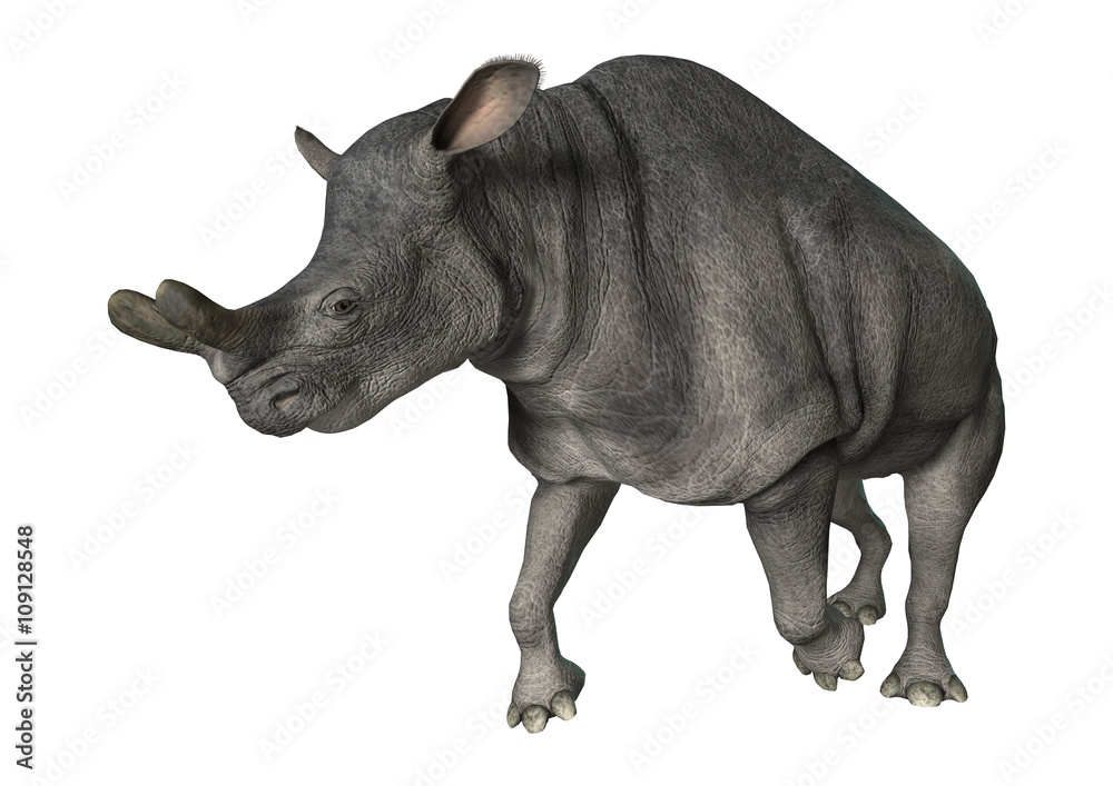 3D Rendering Brontotherium on White 3D Rendering Brontotherium on White