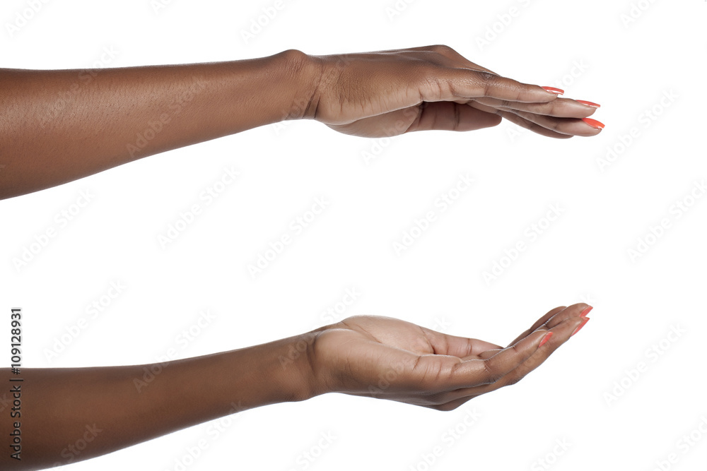 hands holding something hands holding something