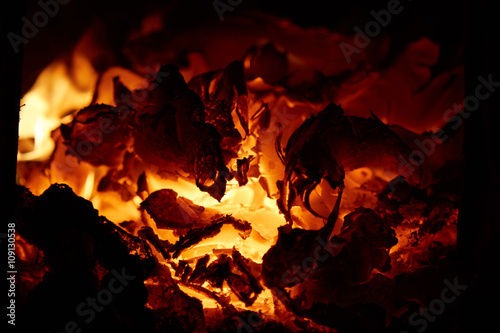 The burning coals in the furnace.