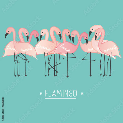Vector illustration pink flamingo