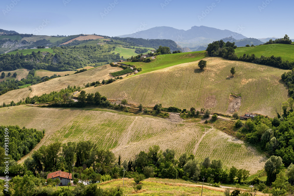 Landscape in Romagna (Italy)