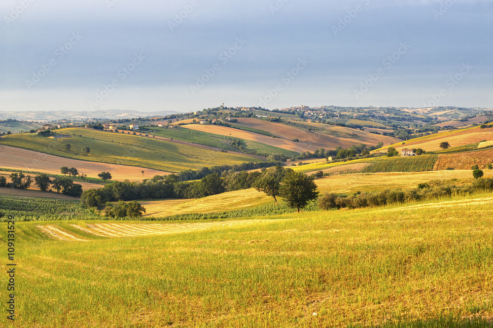 Fototapeta premium Country landscape in Marches (Italy)