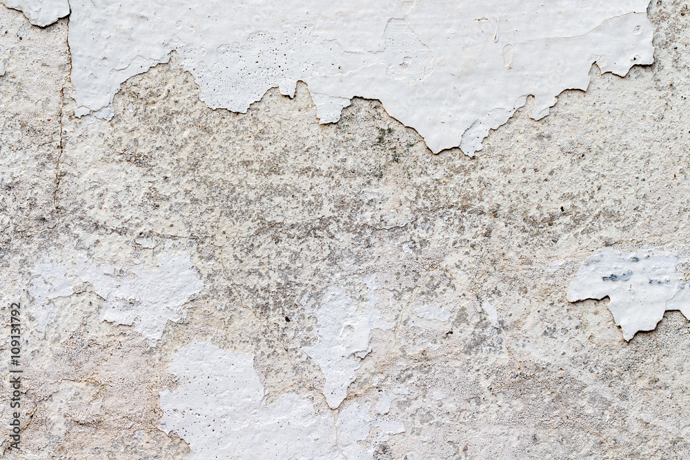 Fototapeta premium white concrete wall texture