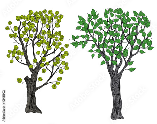Trees