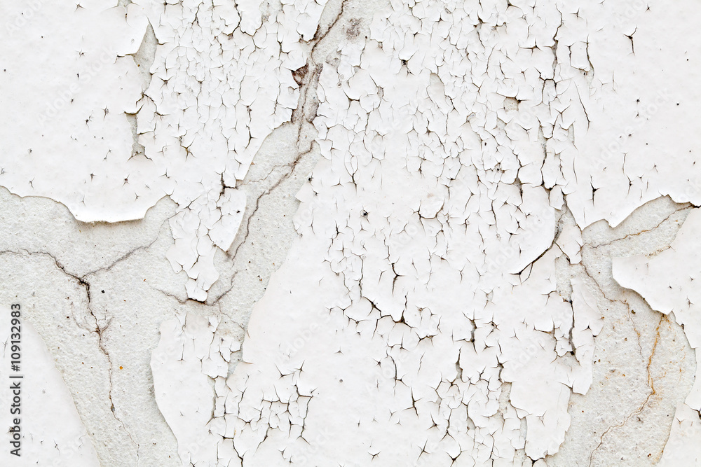 Obraz premium white concrete wall texture