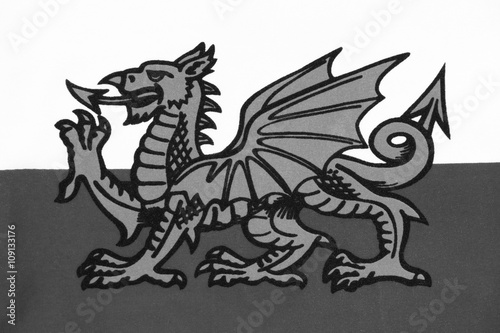 The national flag of Wales known as Y Ddraig Goch (The Red Baron) sadly not included in the Union Jack of the UK. Welsh black and white image © Tony Baggett