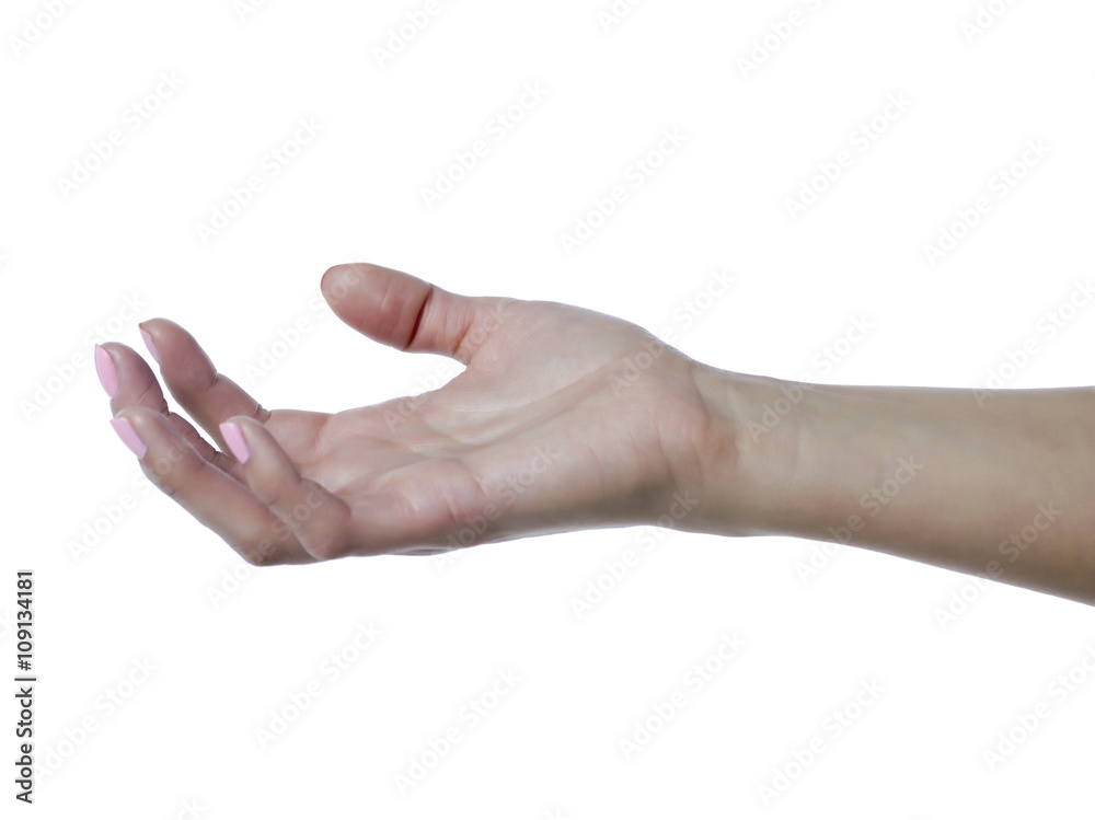 begging female hand