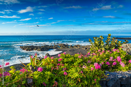 Photography Teneriffa Tenerife