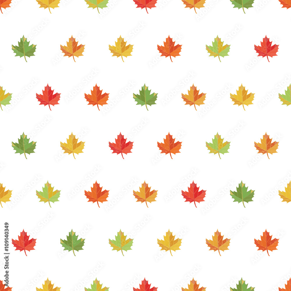 Seamless pattern  maple leaf