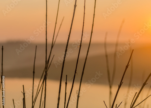 Minimalistic sunrise and thin branches on a foreground