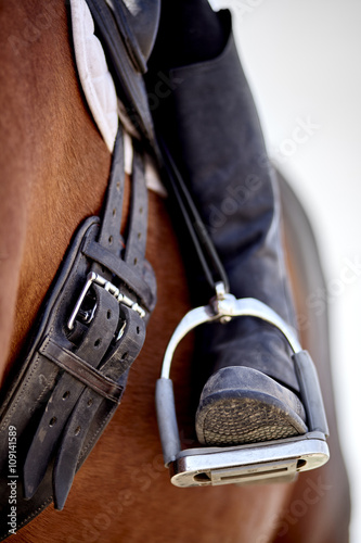 Dressage rider and horse closeup boot in stirrup concept equine humane treatment social issue © 1jaimages
