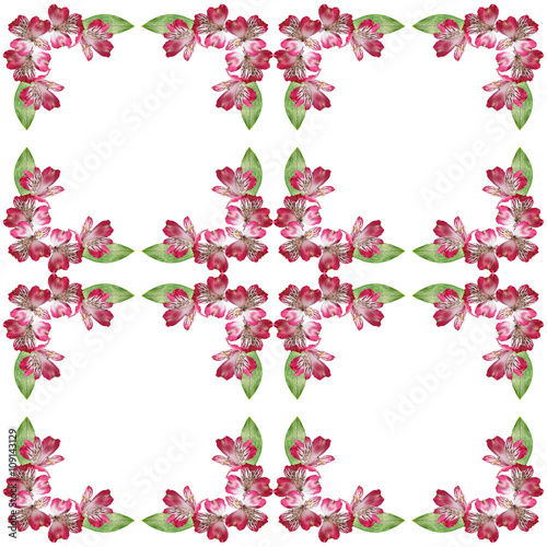 Wallpaper Mural Delicate floral background. Pink Alstroemeria. Isolated.  Torontodigital.ca