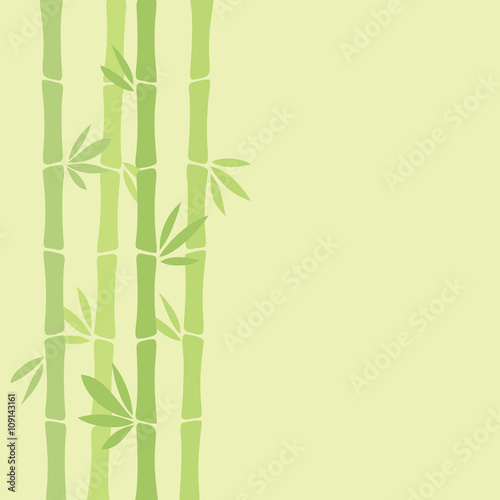 Bamboo background