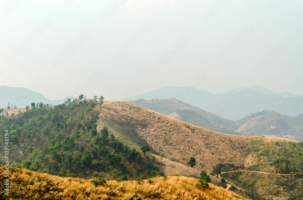 disaster dry areas of mountain with wildfire smog in summer Thailand