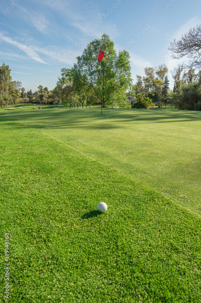 Fototapeta premium Golf ball next to green