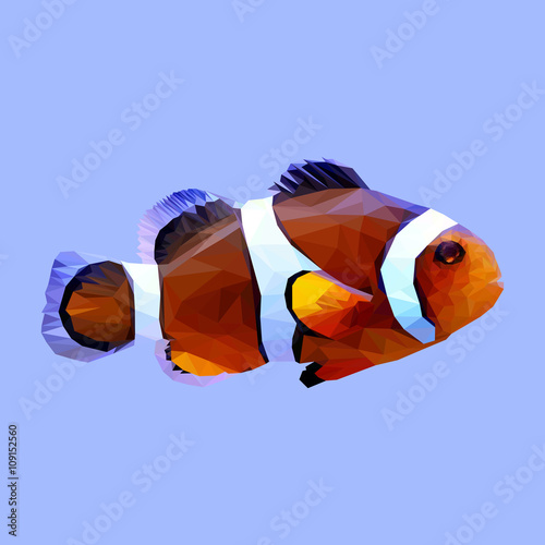 Clownfish fish clown animal low poly design. Triangle vector illustration.....