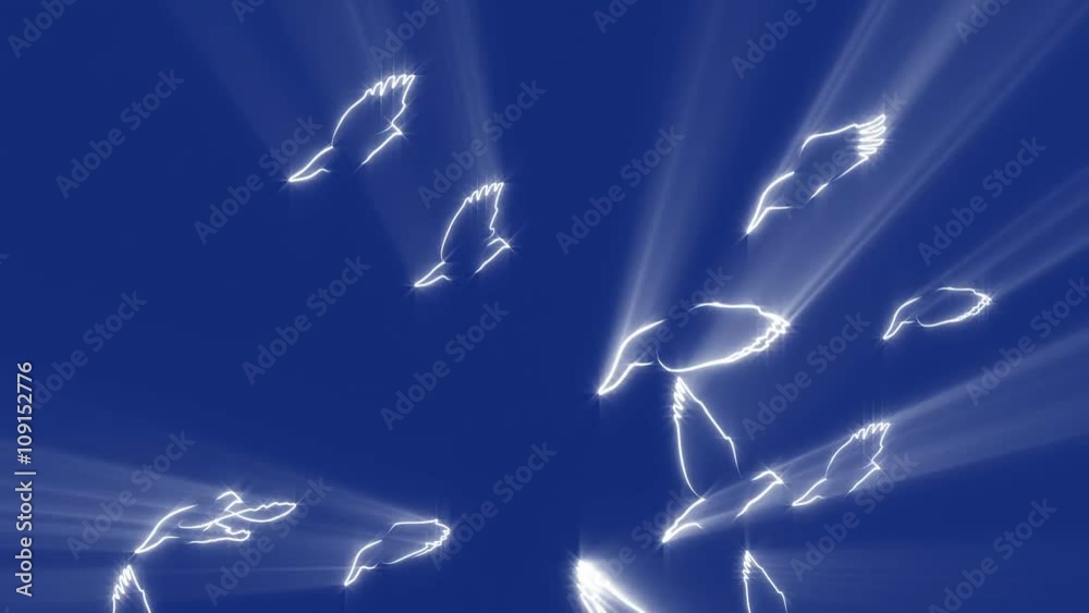 Doves, Dove bird flight, Dove of peace - abstract. Clip contains dove, bird, flight, flying, dove of peace, Pigeon, silhouette.	
