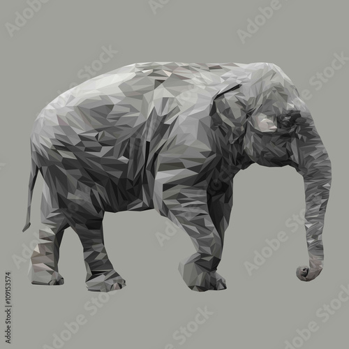 Fototapeta Naklejka Na Ścianę i Meble -  Elephant animal low poly design. Triangle vector illustration.
