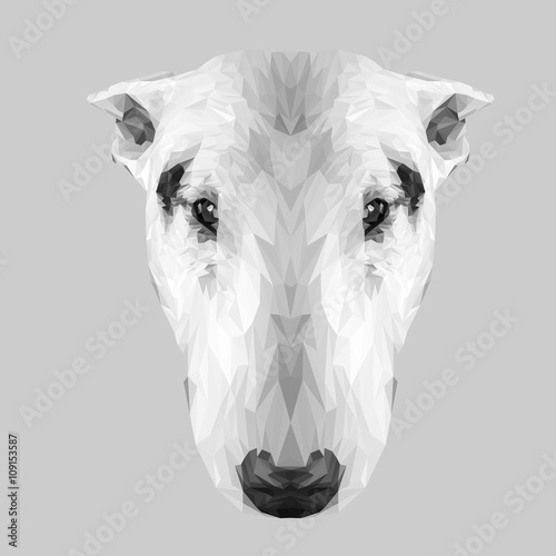 Staffordshire bullterier dog animal low poly design. Triangle vector illustration.
