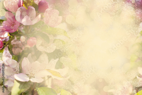 pink blossom background