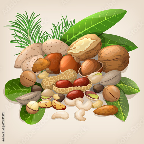 Nut collection with raw food mix. Vector illustration