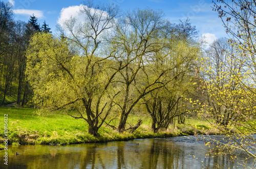 Landschaft im Frühling, romantisches Tal, am Wasser - Landscape in spring, romantic Valley by the waterside