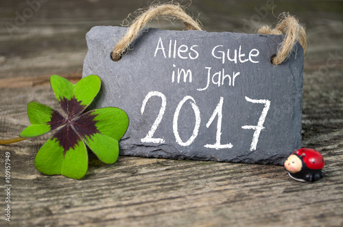 Glücksklee, Klee, Silvester, Glücksbringer, Willkommen 2017 