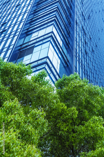 details of a modern office building with a tree