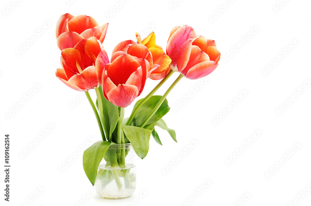 Bouquet red tulips in a glass jar Bouquet red tulips in a glass jar