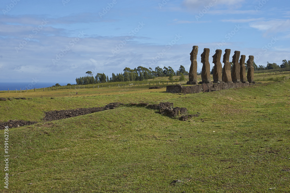 Ahu Kivi. Ancient Moai statues set amongst green fields and facing the sea on Rapa Nui (Easter Island)