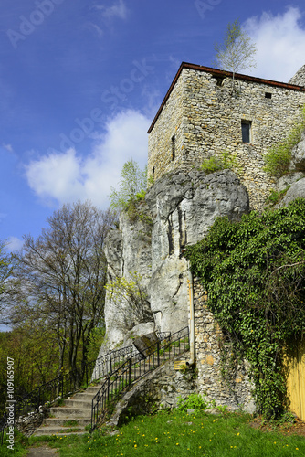 Morsko, Castle Bakowiec on the Krakow-Czestochowa Jura, Poland photo