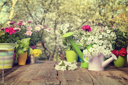 Outdoor gardening tools on old wooden table , Spring concept