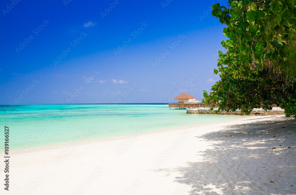 Fototapeta premium Maldives, tropical sea background 3!