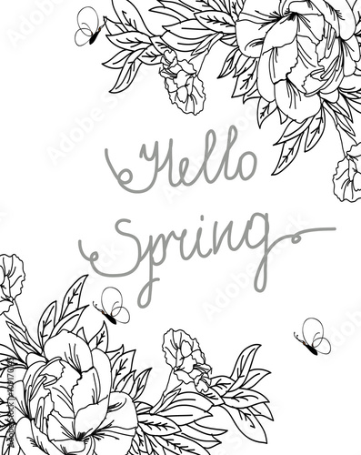 vector linear monochrome abstract background with tsvetami peonies and carnations on a white background with butterflies and the words Hello spring,