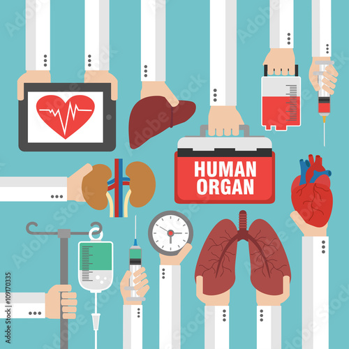 Human organ for transplantation design flat