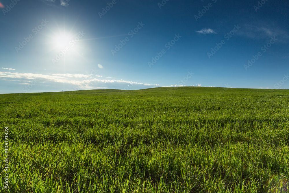 Blue sky over green field