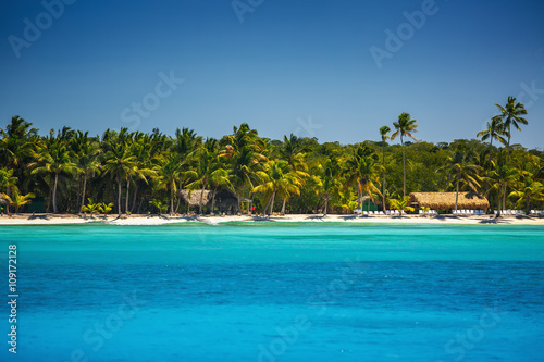 Palm trees on the tropical beach © ValentinValkov