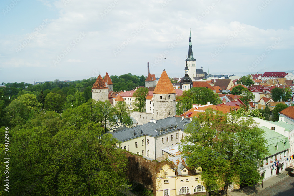 Spring view of Tallinn from the observation deck. Red roofs of the houses and the Town Hall on the blue sky background.